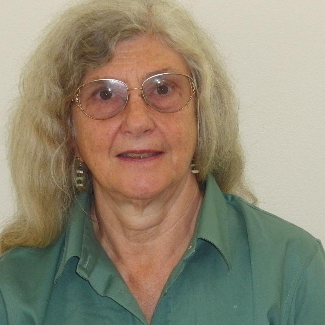 Ann Dinger Dickinson's Classmates® Profile Photo