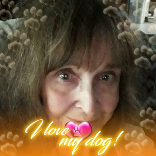 Sally Ahrens's Classmates® Profile Photo