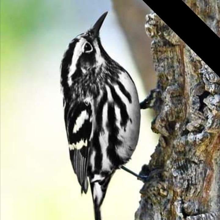 David Hunt's Classmates® Profile Photo