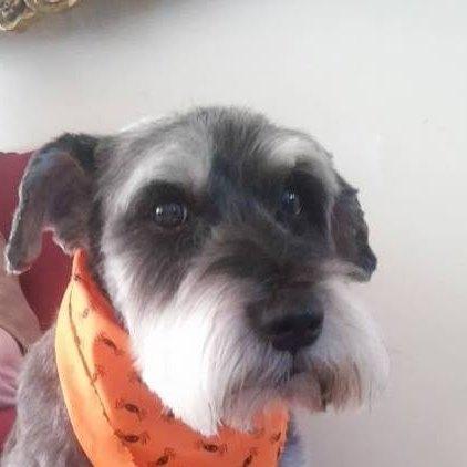 Douglas Manow's Classmates® Profile Photo