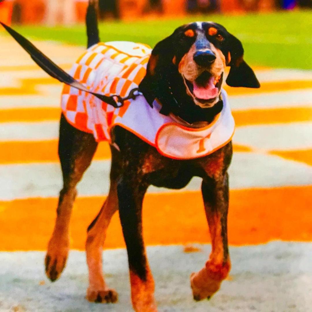 Brooks Crowell's Classmates® Profile Photo