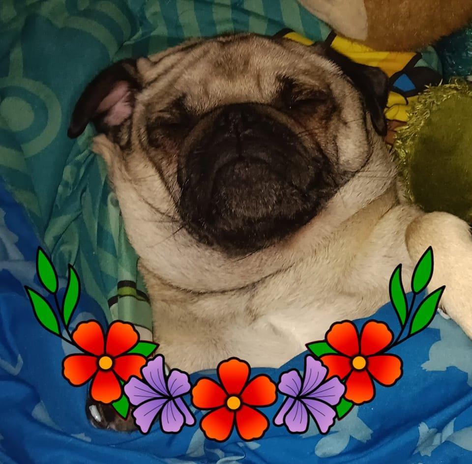 Hailey Boragno's Classmates® Profile Photo