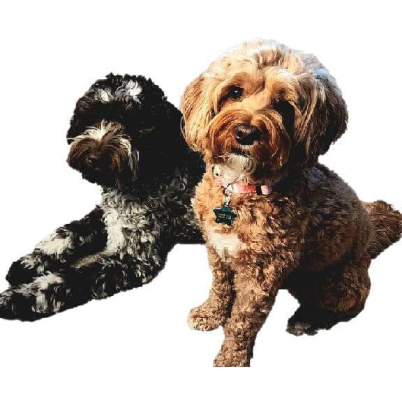 Randy Crawford's Classmates® Profile Photo