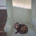 Michael Howard's Classmates® Profile Photo