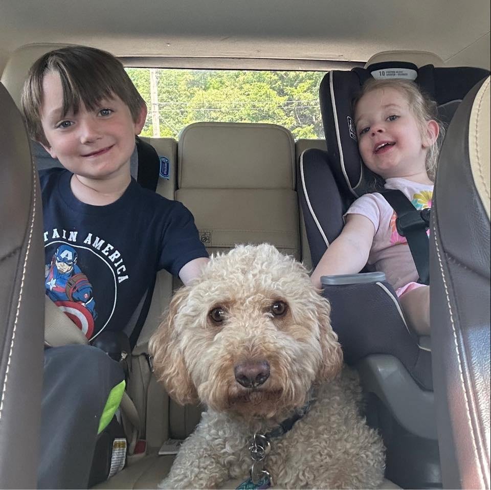 Jo Ann Lynn's Classmates® Profile Photo