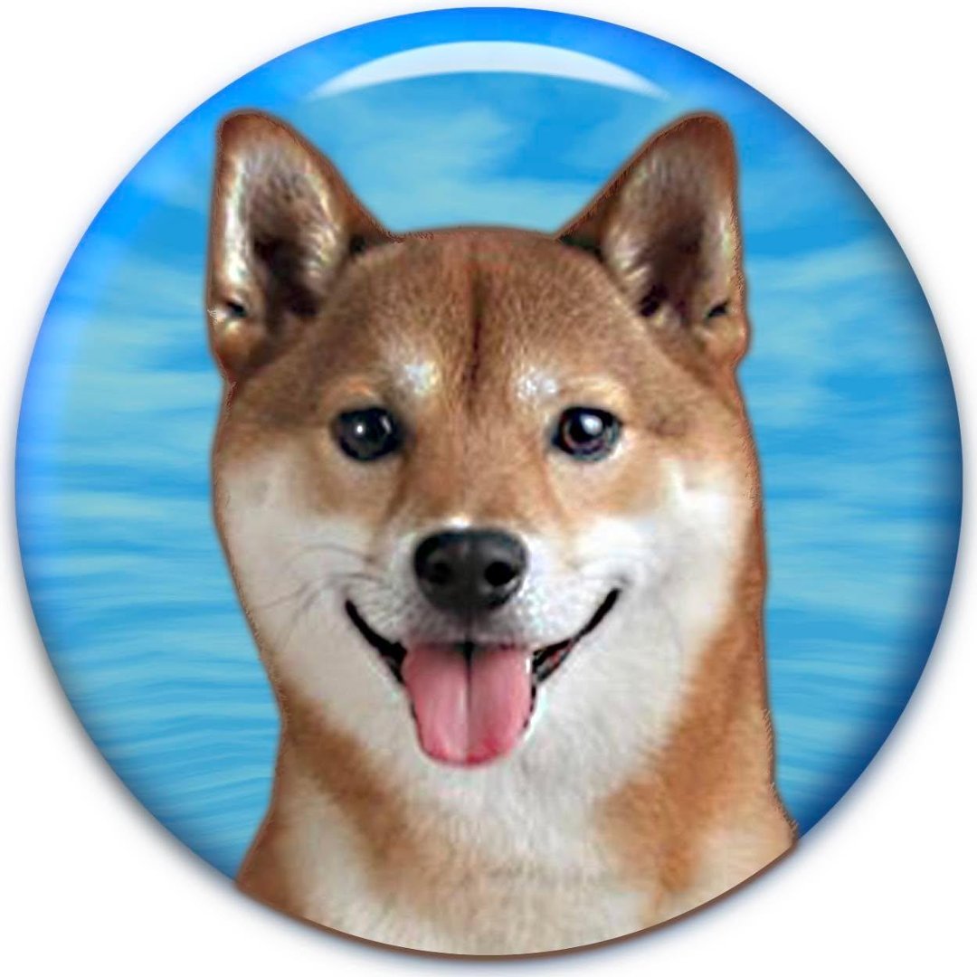 Dan Arriola's Classmates® Profile Photo