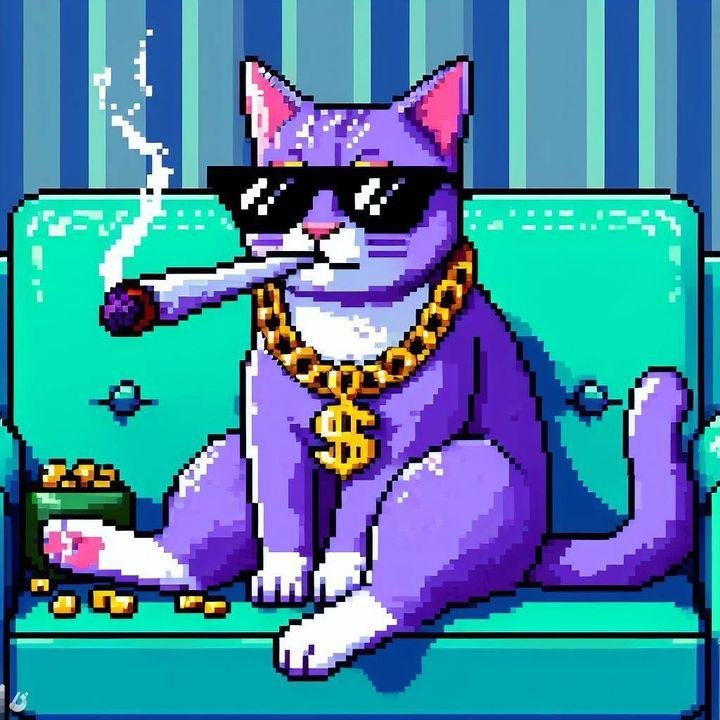 Floppy Wonka's Classmates® Profile Photo