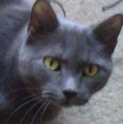 debra brummer's Classmates® Profile Photo