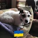 Betsy Buzzelli-Clarke's Classmates® Profile Photo
