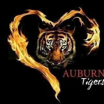 Johnny Warren's Classmates® Profile Photo