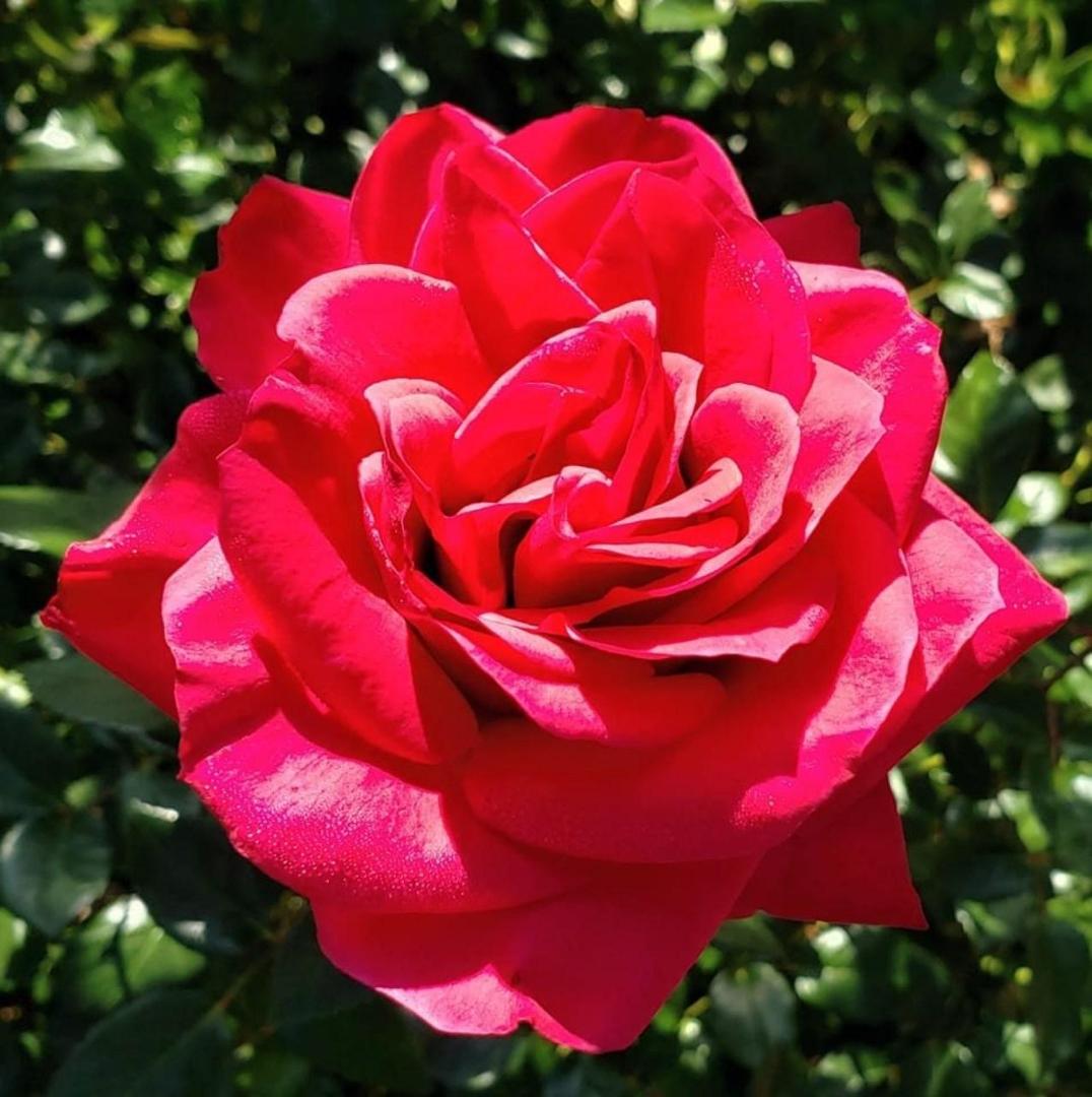 Melanie Jennings's Classmates® Profile Photo