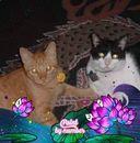 Barbara Bayer's Classmates® Profile Photo