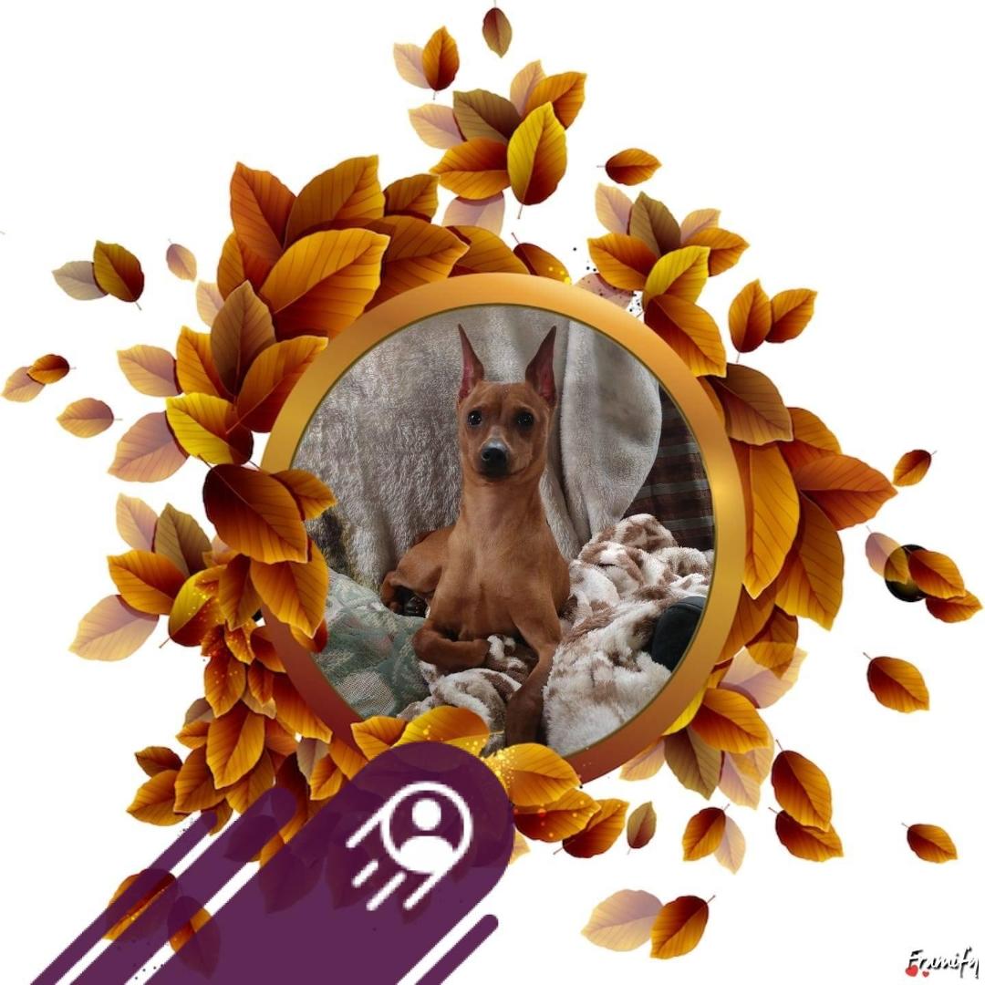 Vicky Clayton's Classmates® Profile Photo