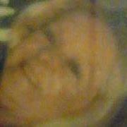 vickey wright's Classmates® Profile Photo