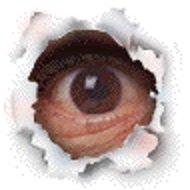 kim chaisson-maher's Classmates® Profile Photo