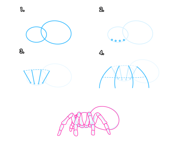 How to draw a spider - tutorial