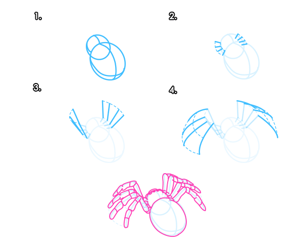 How to draw a spider - tutorial