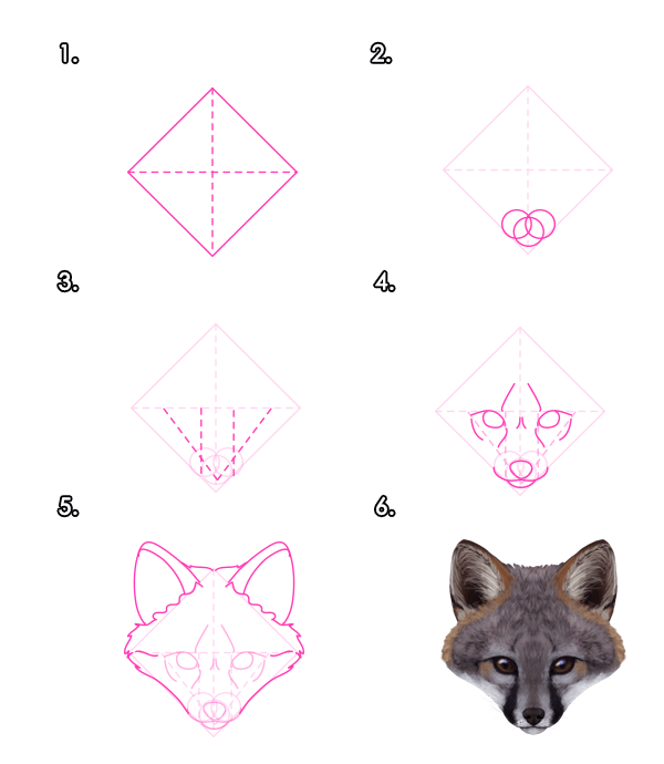 How to Draw a Fox