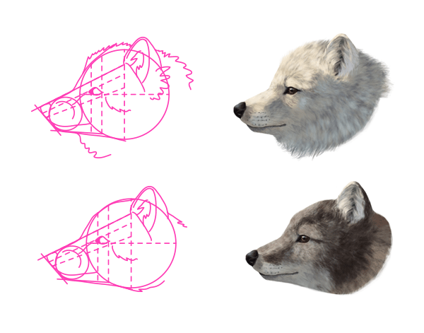 How to Draw a Fox