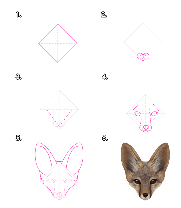 How to Draw a Fox