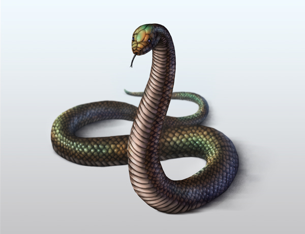Final product image