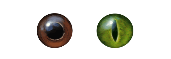 snake eye colors