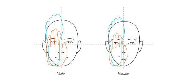 mf-proportions.jpg