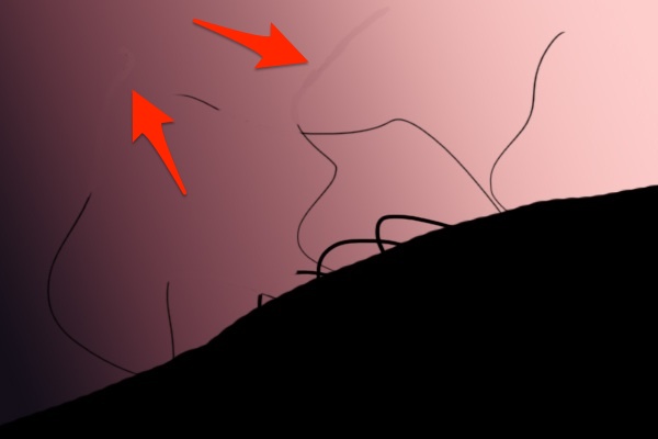 Nasty fly-away hair