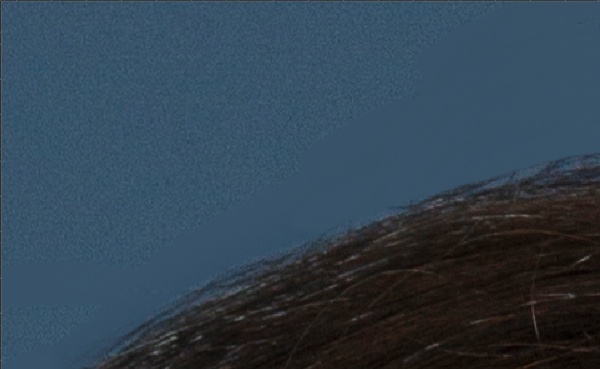 Add noise to match retouched area to rest of image
