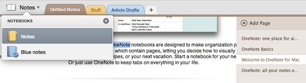 Organize notes in OneNote