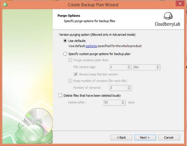 CloudBerry Backup Wizard Purge Options