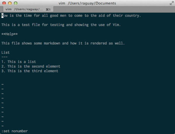 Vim in Terminal