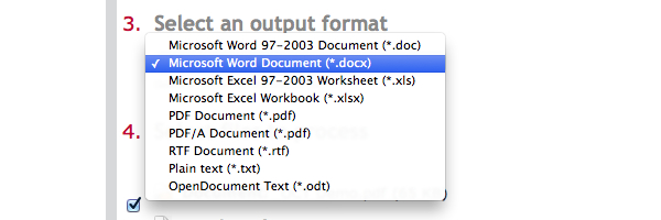Select an output format from the drop-down menu