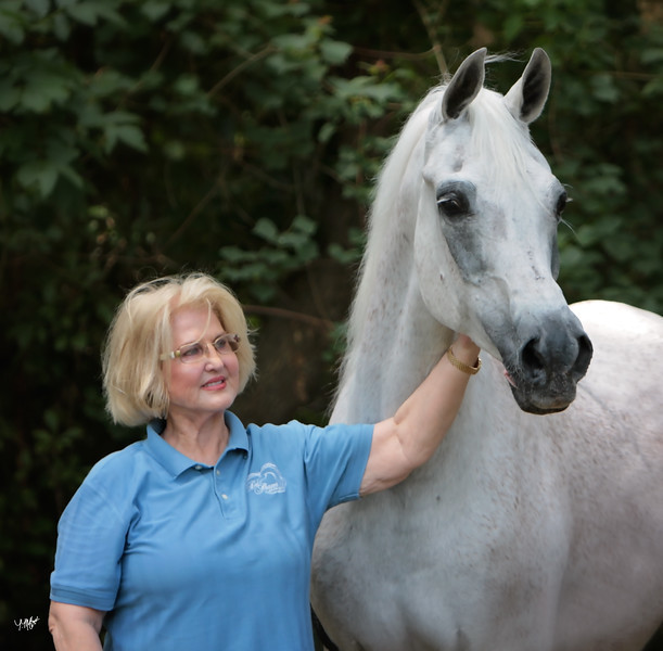 Imperial Maysama (D)