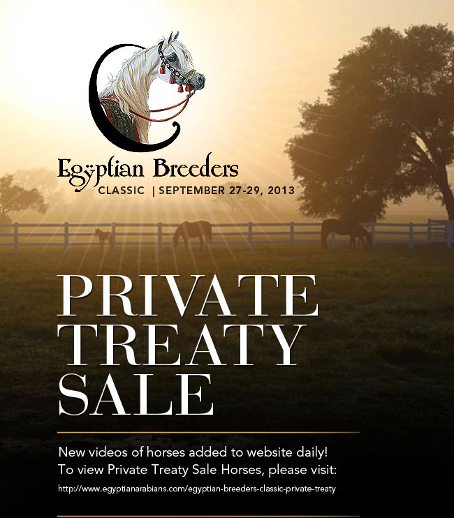 Private Treaty Newsletter