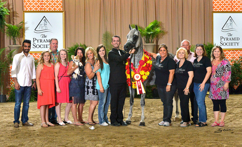 2014 Egyptian Event Silver Champion Stallion