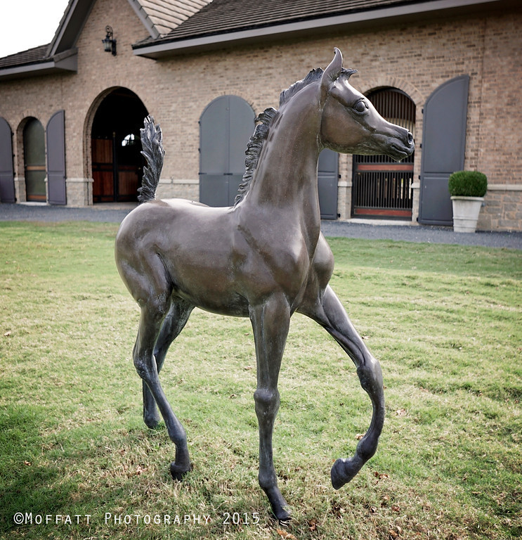 #16 J.A. Bulter “She’s My Girl” L.E.  55” x  39” x 12”