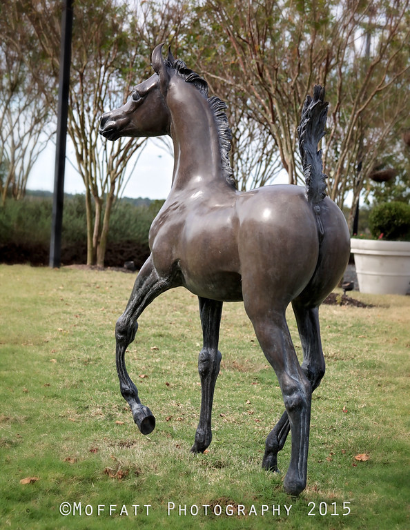 #16 J.A. Bulter “She’s My Girl” L.E.  55” x  39” x 12”