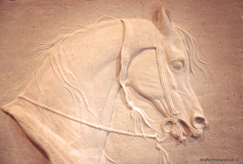 #13 Judy Norquist – Paper Mache