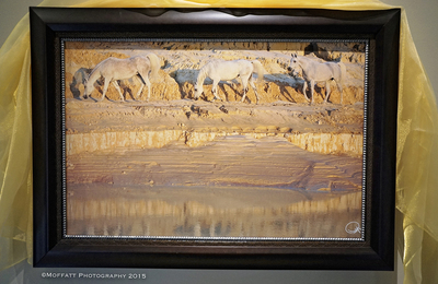 #15 – Mares photo on Canvas by  Gigi Grasso 30 ¼” x 42 ¼”