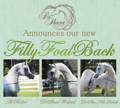 Filly Foal Back