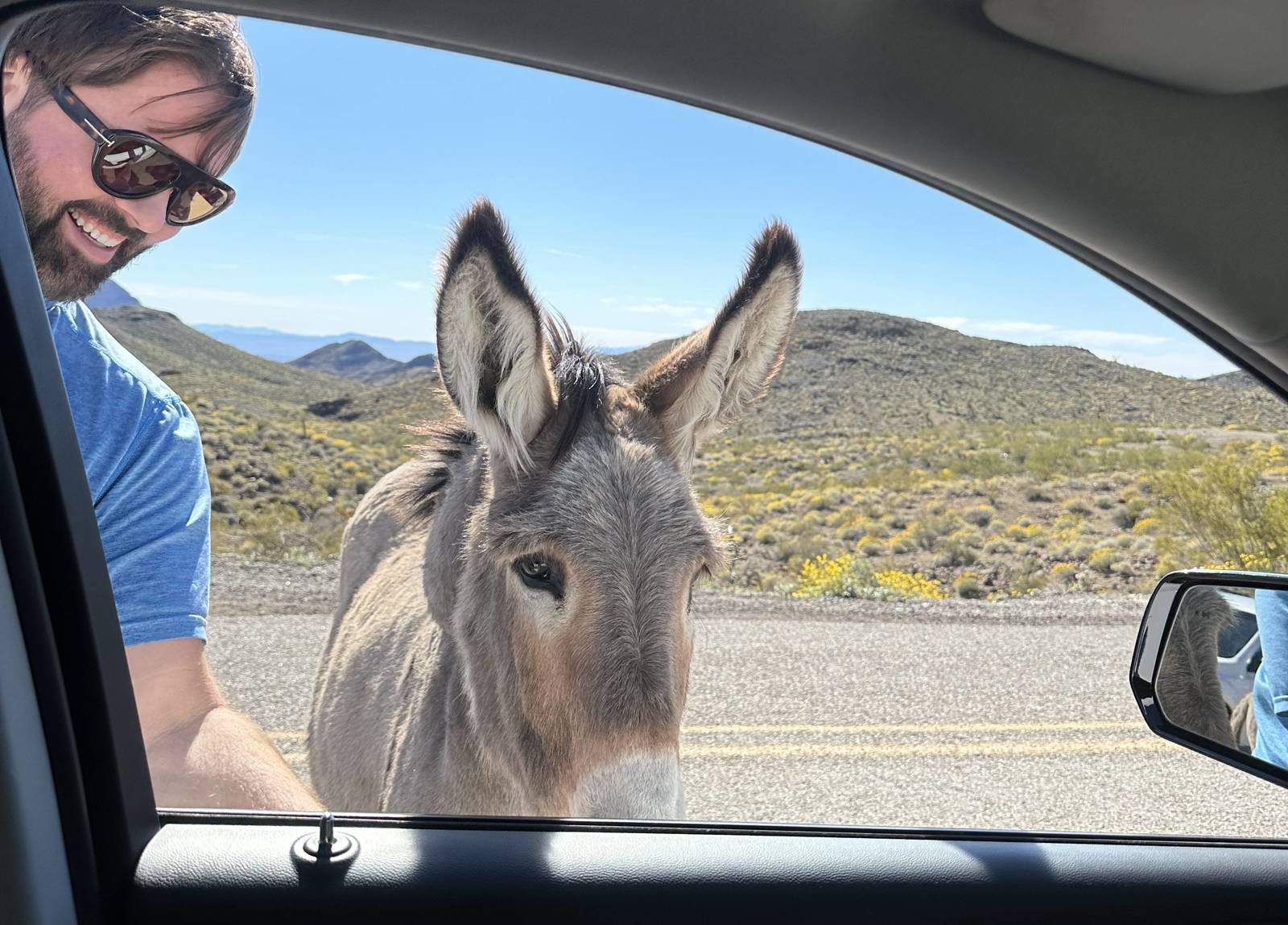 Arizona Travels