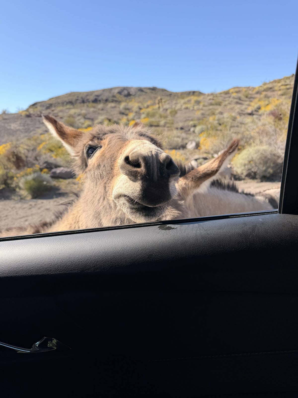 Arizona Travels