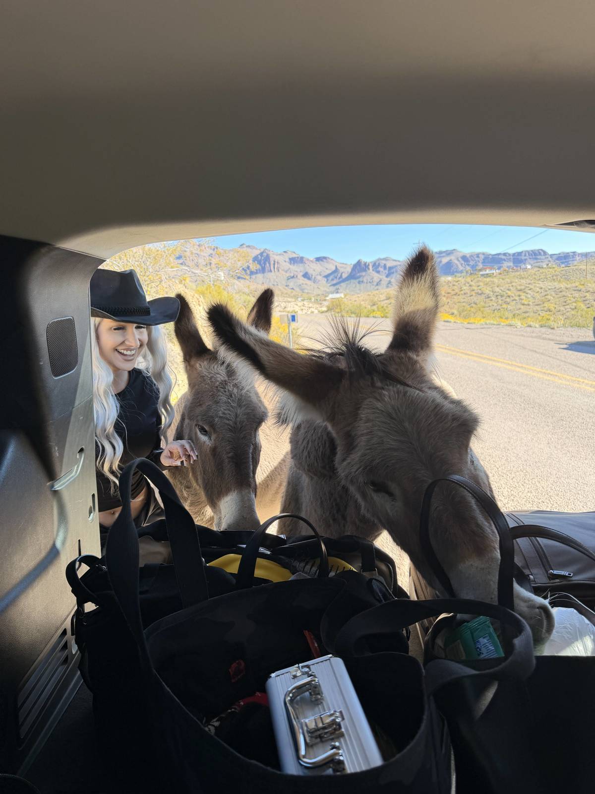 Arizona Travels