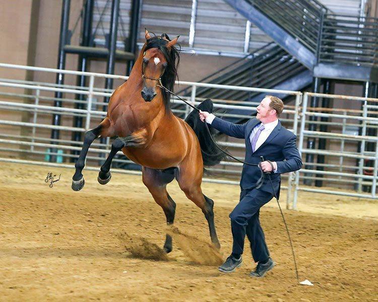 Beloveds Call To Glory