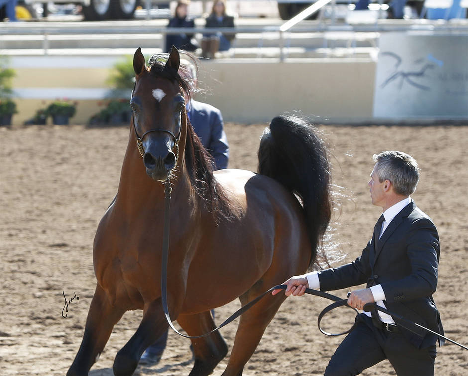 Beloveds Call To Glory