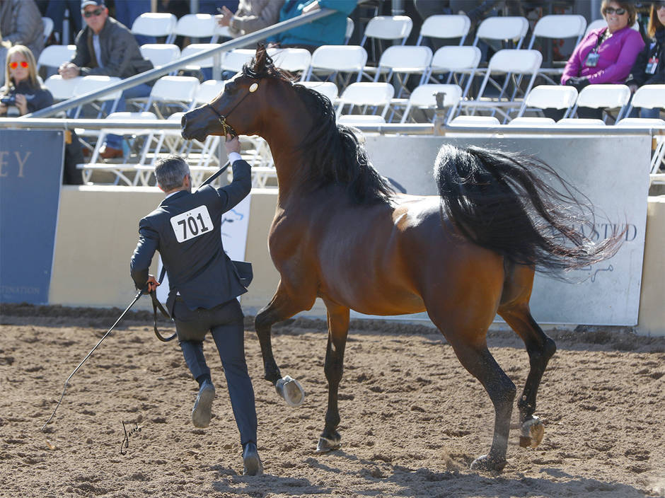 Beloveds Call To Glory