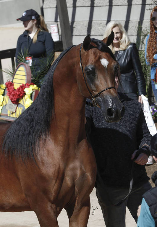 Beloveds Call To Glory