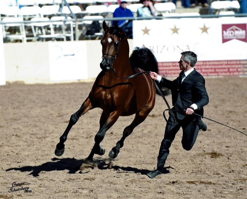 Beloveds Call To Glory