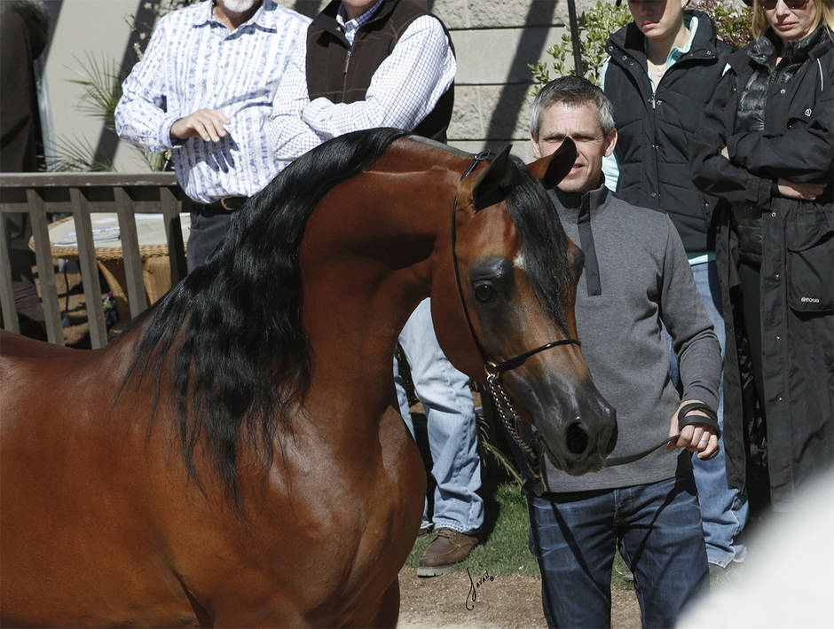 Beloveds Call To Glory